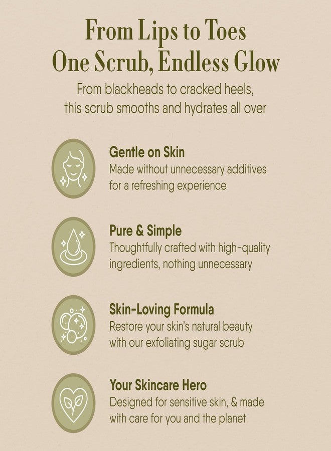 360Feel Jasmine Lime Sugar Body Scrub - Great for Exfoliating Bodyscrub Acne Scars Stretch Marks Foot Scrub Great Gifts For Women - 8 Fl Oz - Image 5